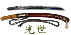 wakizashi_t287912_w2762