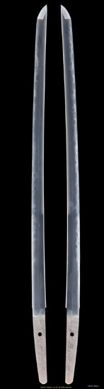 F68146_W6613_PUP1