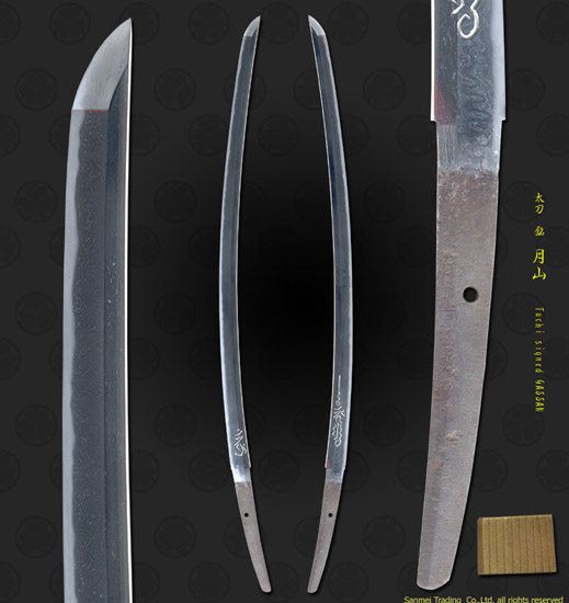 F96378_S5020