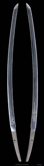 F96378_S5020_PUP1