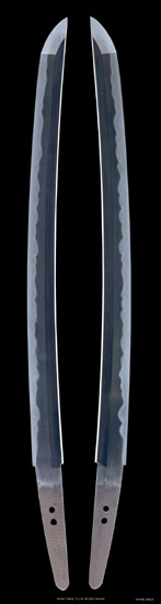 H44480_W6623_PUP1