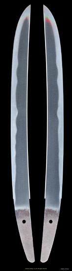 H90842_W7034_PUP1