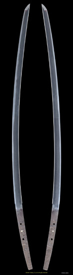 K4038_S5025_PUP1