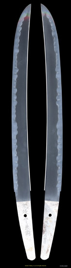 K42708_W6607_PUP1