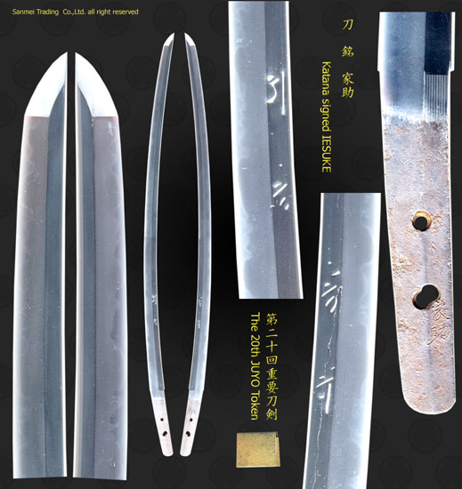 K48473_S1245