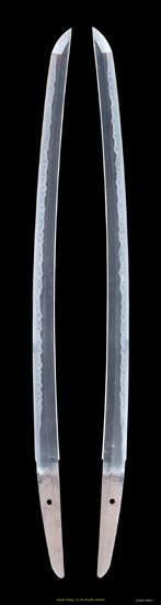K53309_W6612_PUP1
