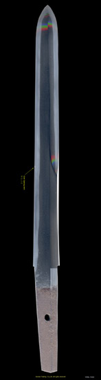 M998_T5920_PUP1