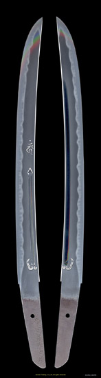 N12962_W6940_PUP1