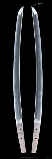 N5198_W7029_PUP1