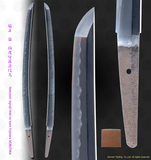O19181_W8077