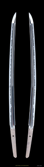 O54012_S3055_PUP1