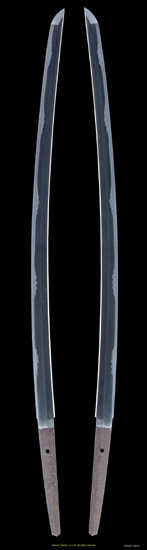 O87604_S2815_PUP1