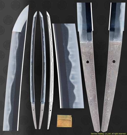 O94725_S2817