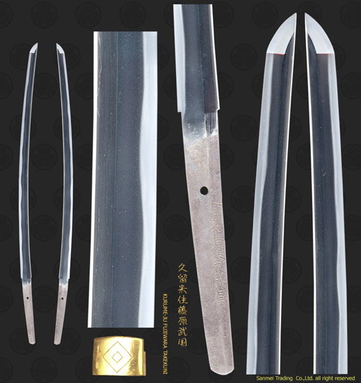 T282485_S2512