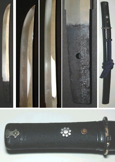 seshujufujiwaratadayuki