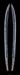 T287682_W6615_PUP1