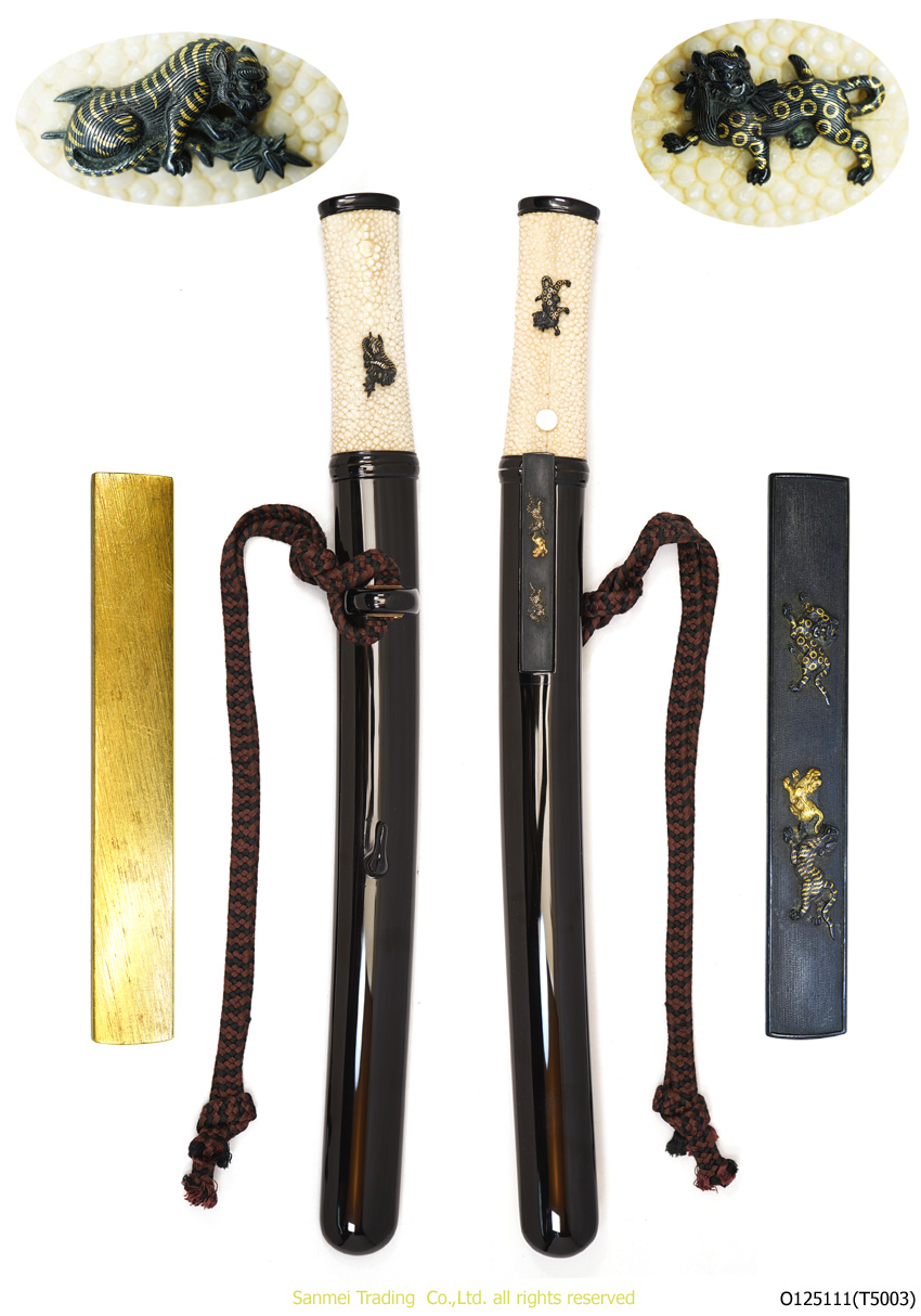 musashidaijo Fujiwara TADAHIRO