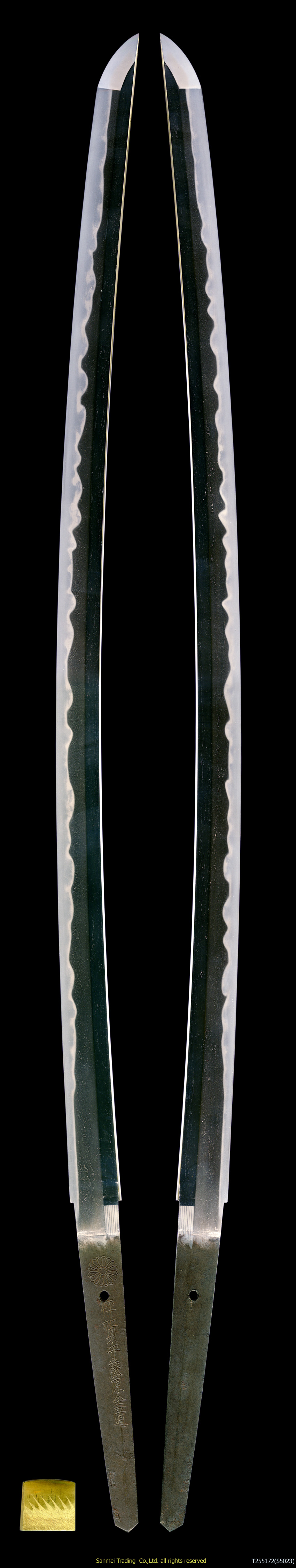 ���@�e�� �ɉ�瓡������