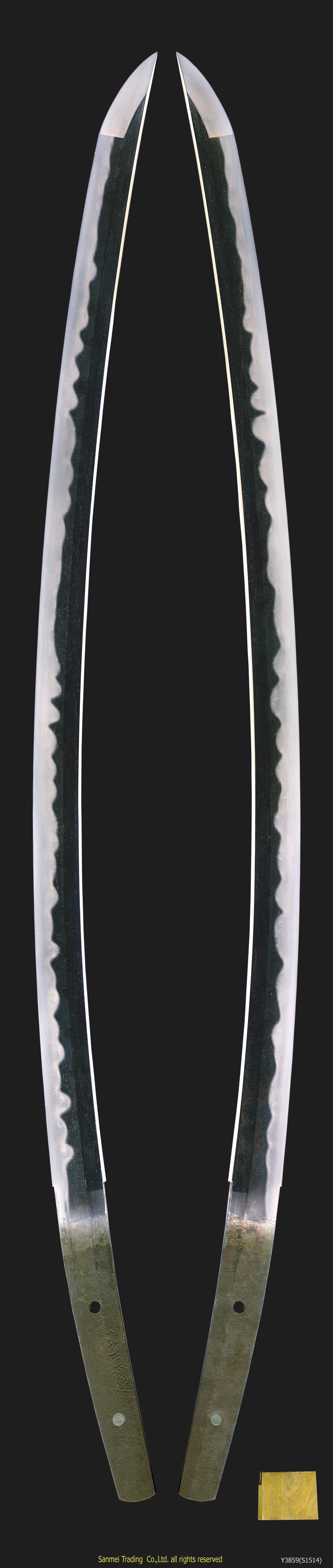 Y3859(S1514)