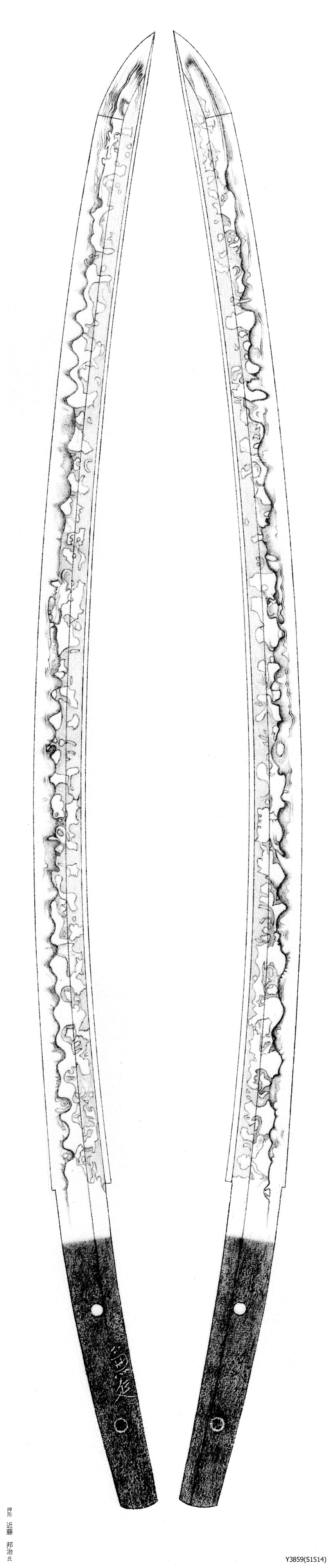 Y3859(S1514)